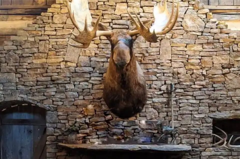 Maurice the Moose keeps watch over great room