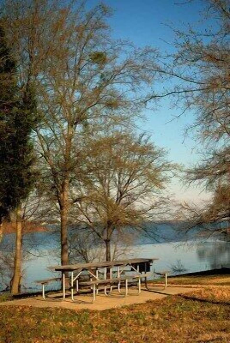 Tawakoni State Park Picnic