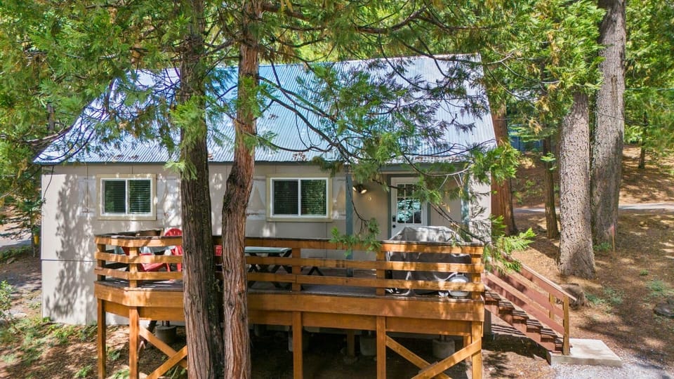 Welcome to Cabin #6