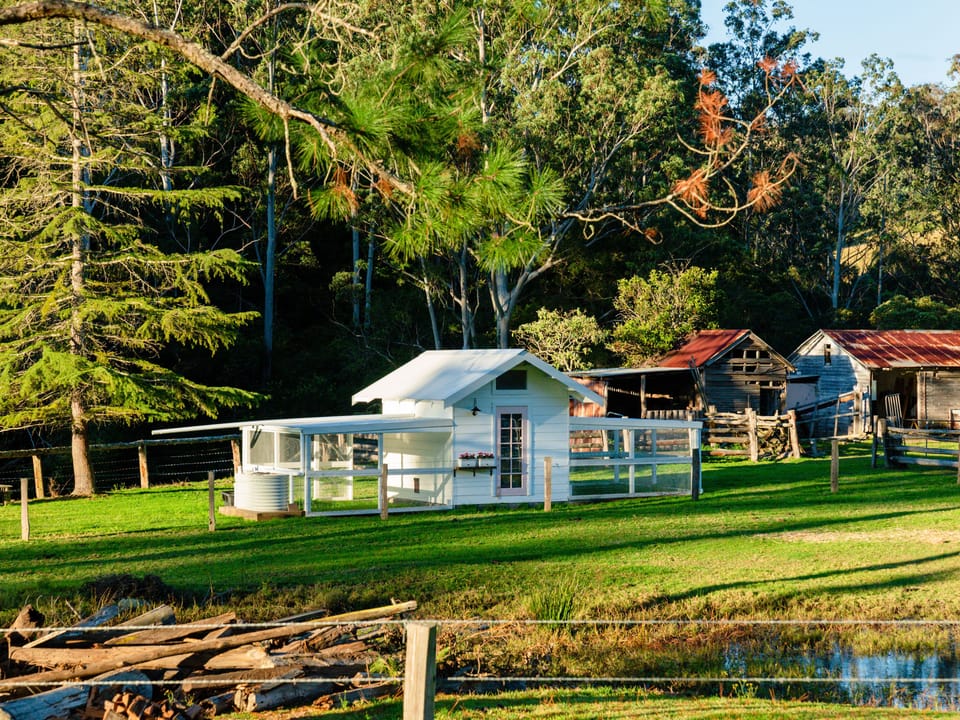 Waukivory Estate - Chicken Coup