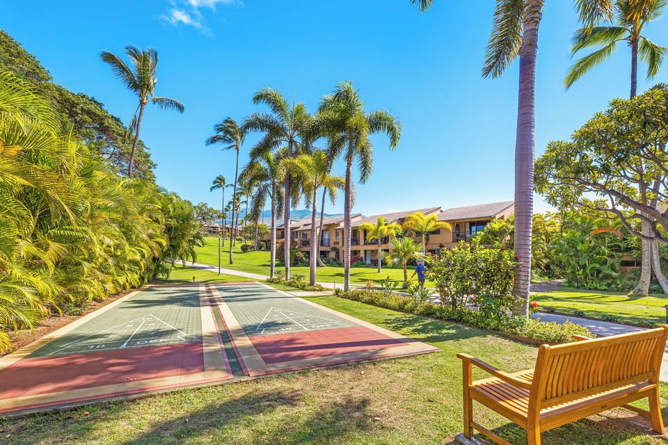Shuffle Board Court