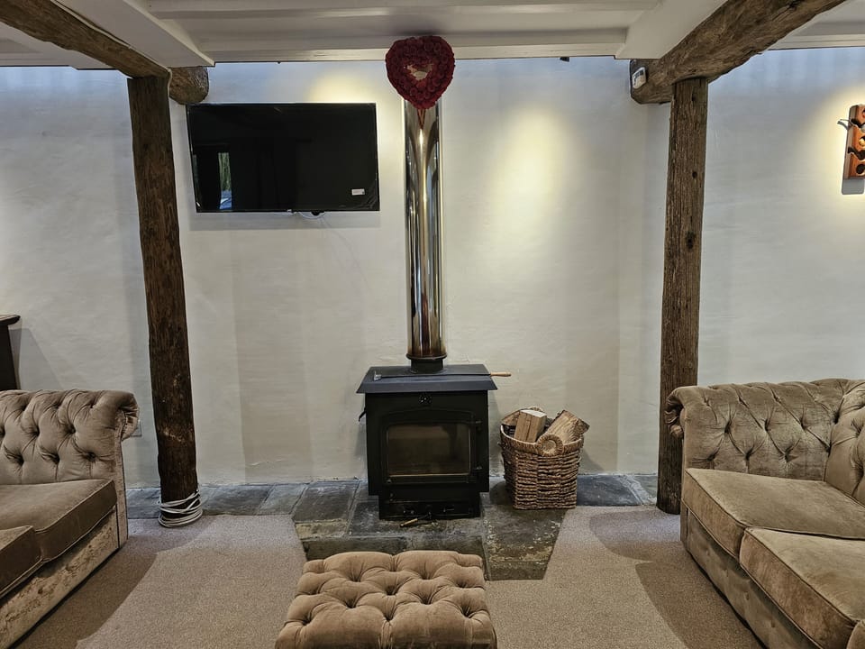 Log burner 