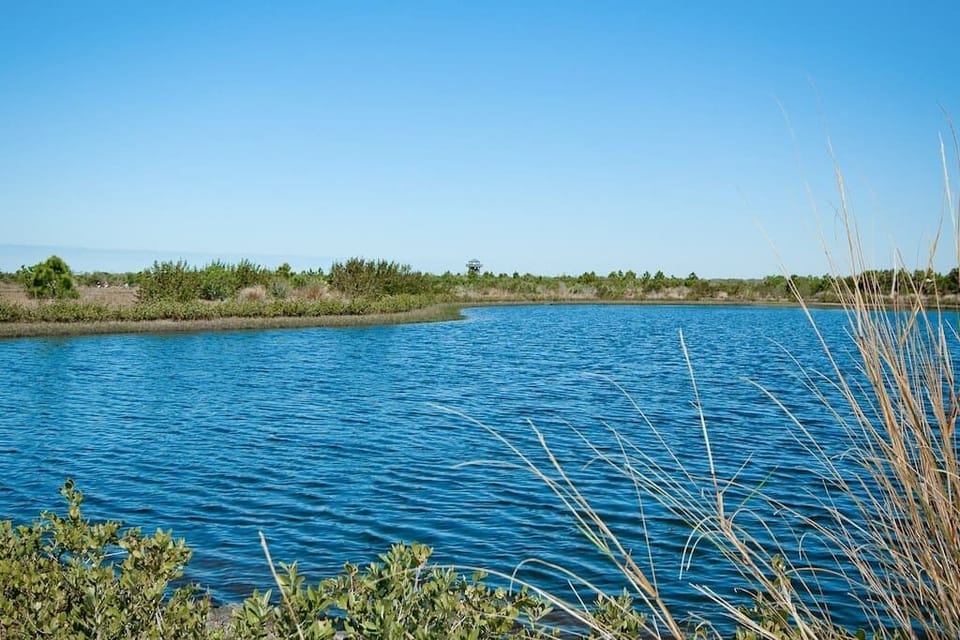The Robinson Preserve is a 600-acre park located down the street from us, with walking trails, kayak rentals, and a lookout tower.