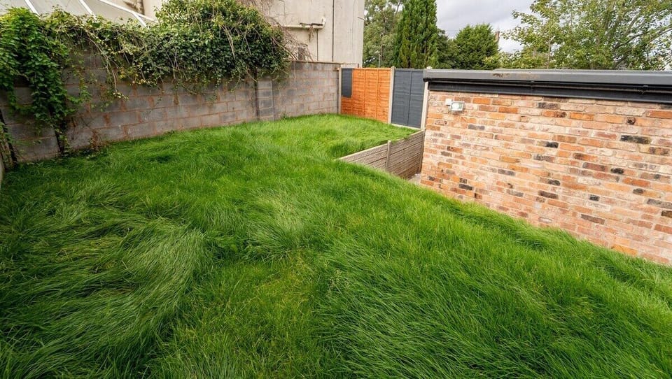 Back Garden