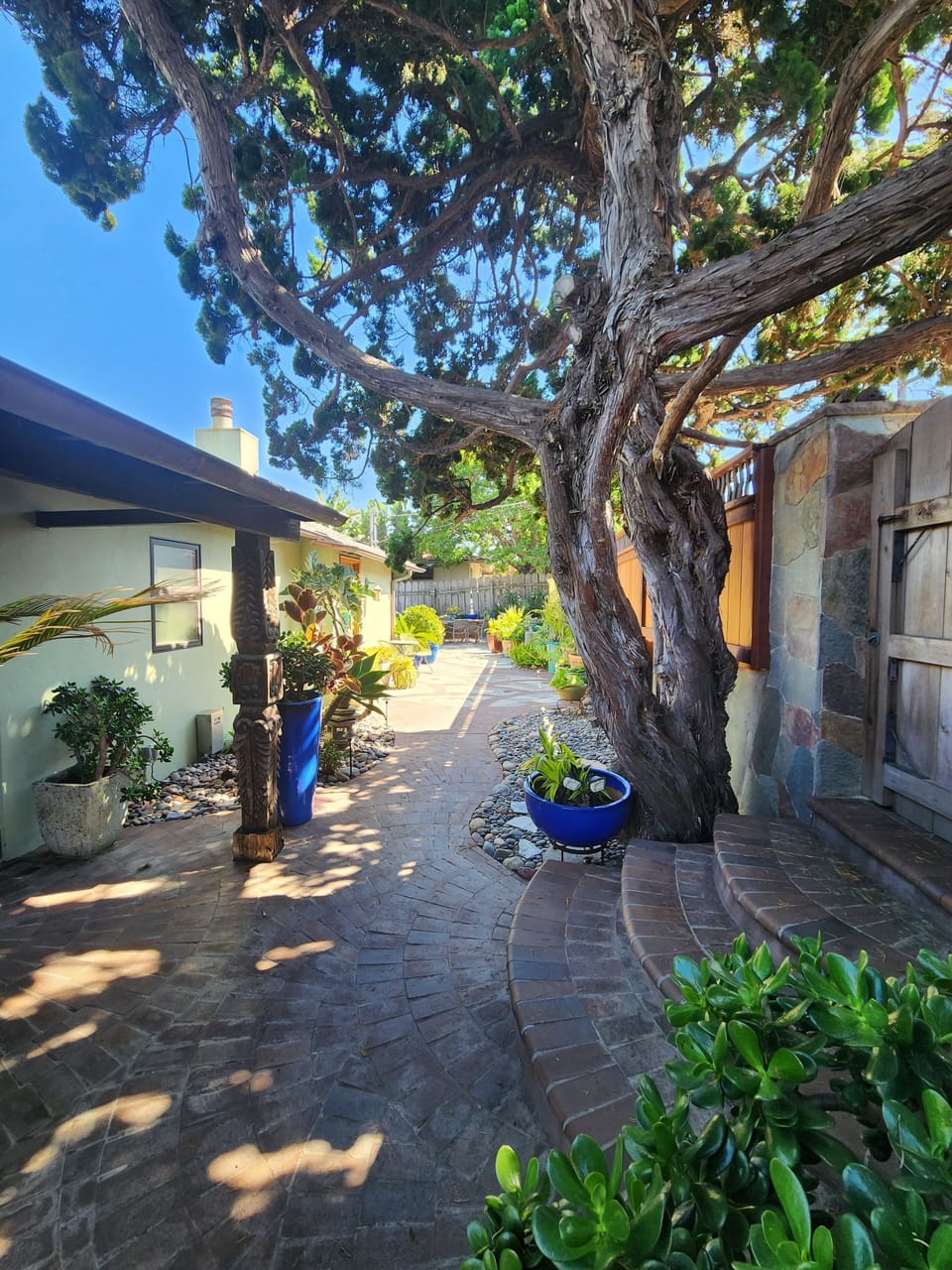Inviting entry courtyard, our north to south from west side of house