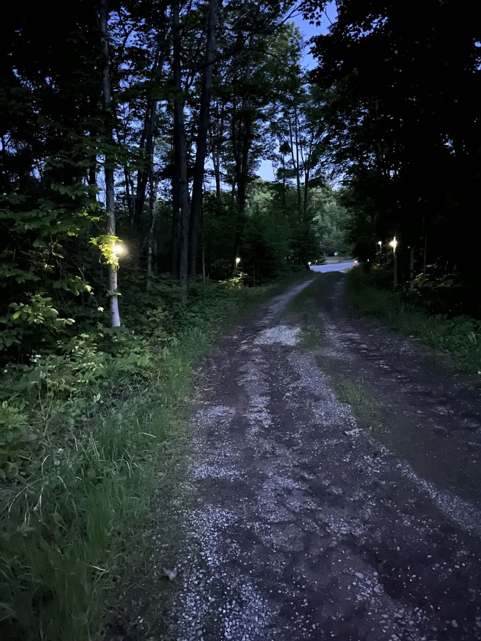 Road coming up to the cottage is lit at night solar lights from highway