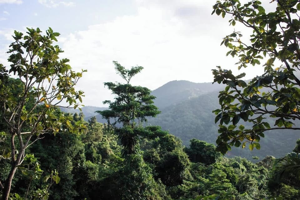 Redlynch Valley | Pindari Retreat 