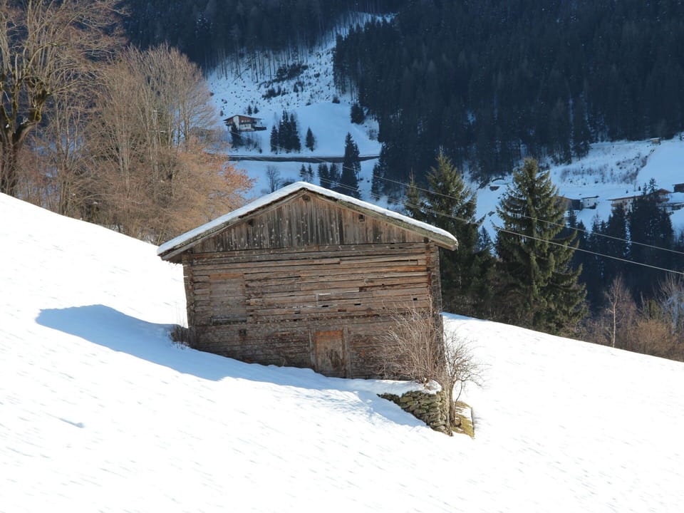 Snow, Tree, Slope, Mountain, House, Wood, Glacial Landform, Terrain, Freezing, Building