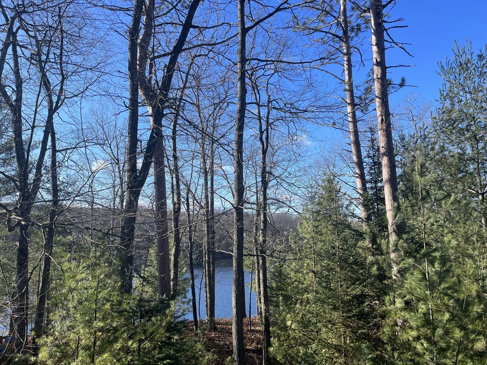 Early winter view from the back porch.