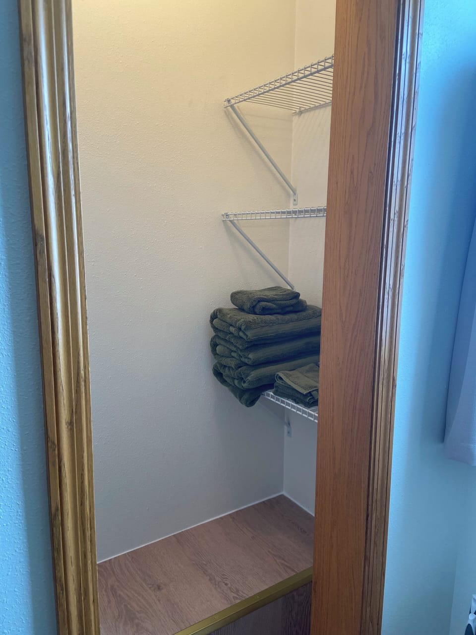 Bathroom closet
