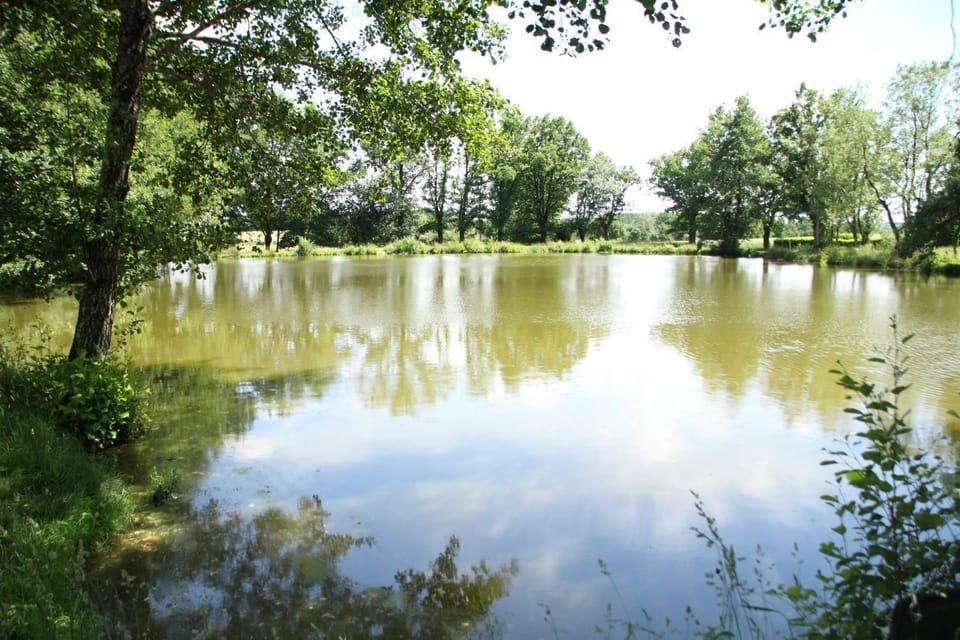 Private fishing lake opposite the house