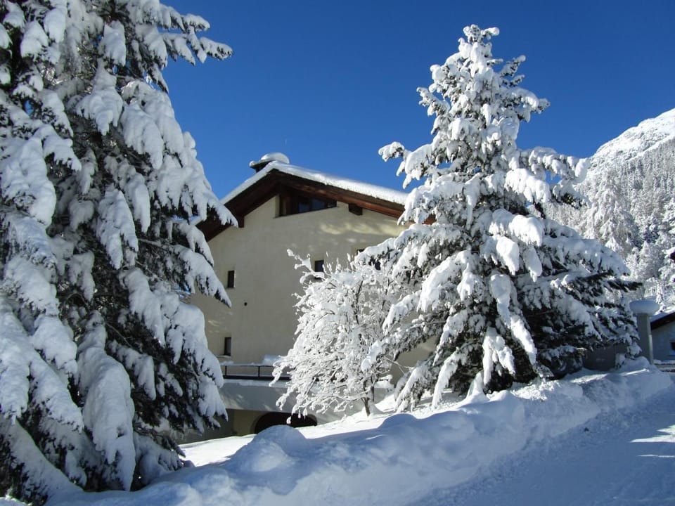 Picture 15