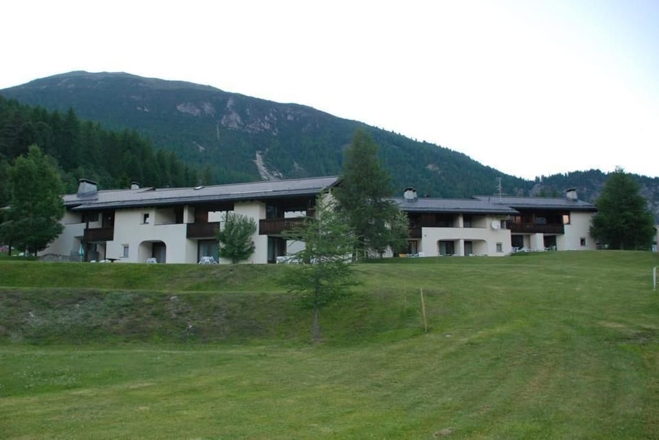 Picture 15