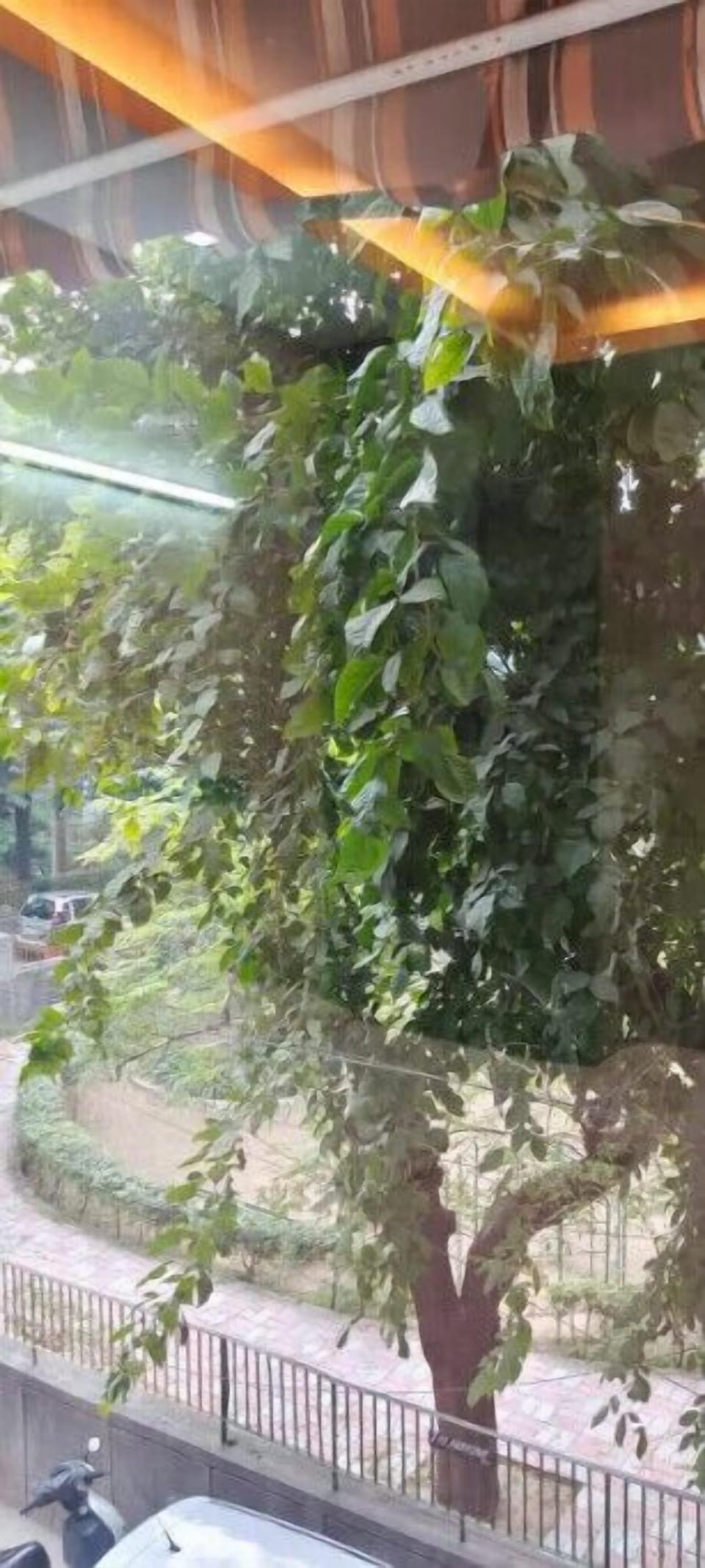View from property