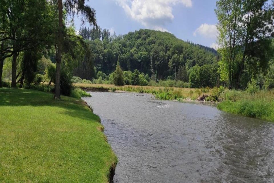 Region [summer] (>5 km)