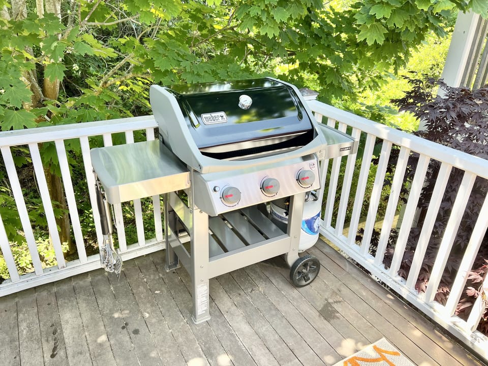 Grilling area