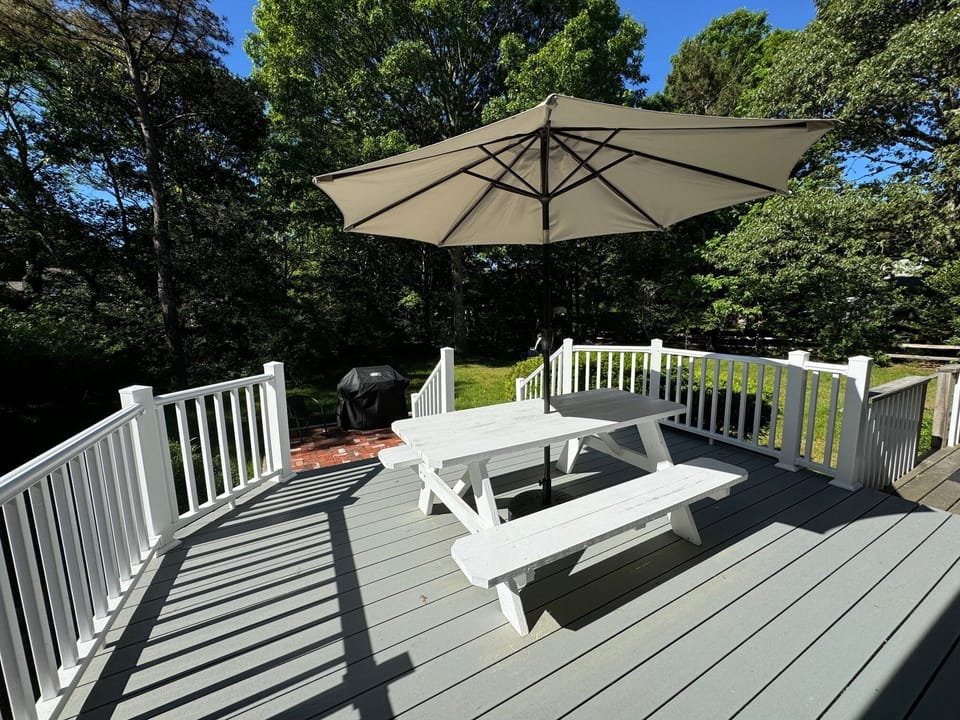 Back deck with picnic table/seating for 6, steps to patio w/ Weber grill.