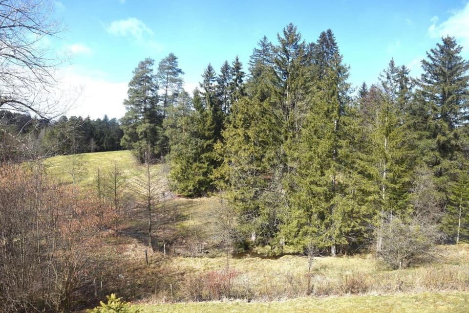 Region [winter] (>5 km)