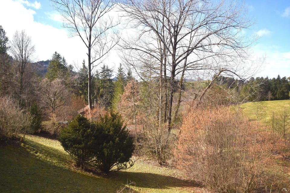 Surroundings [summer] (1-5 km)