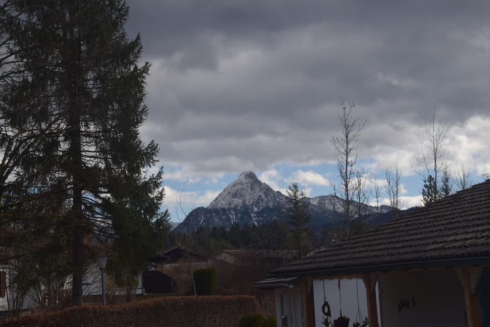 Immediate Surroundings [summer] (<1 km)