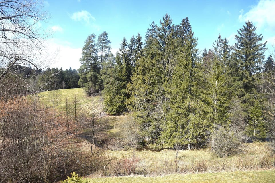 Surroundings [summer] (1-5 km)