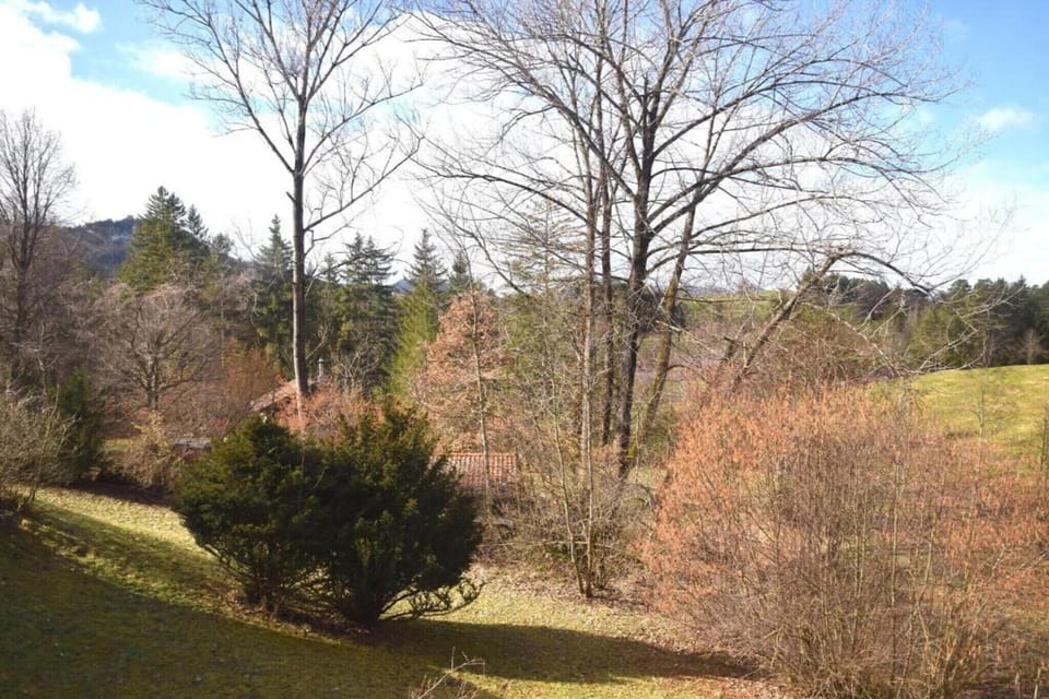 Region [winter] (>5 km)