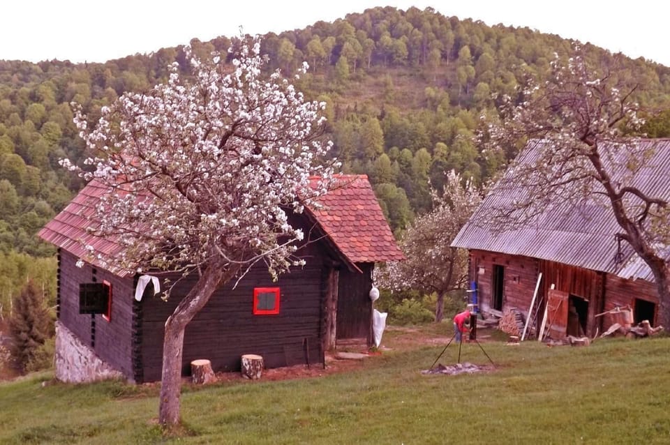 Mountain hut in the Carpathians • Cozo Fantu •