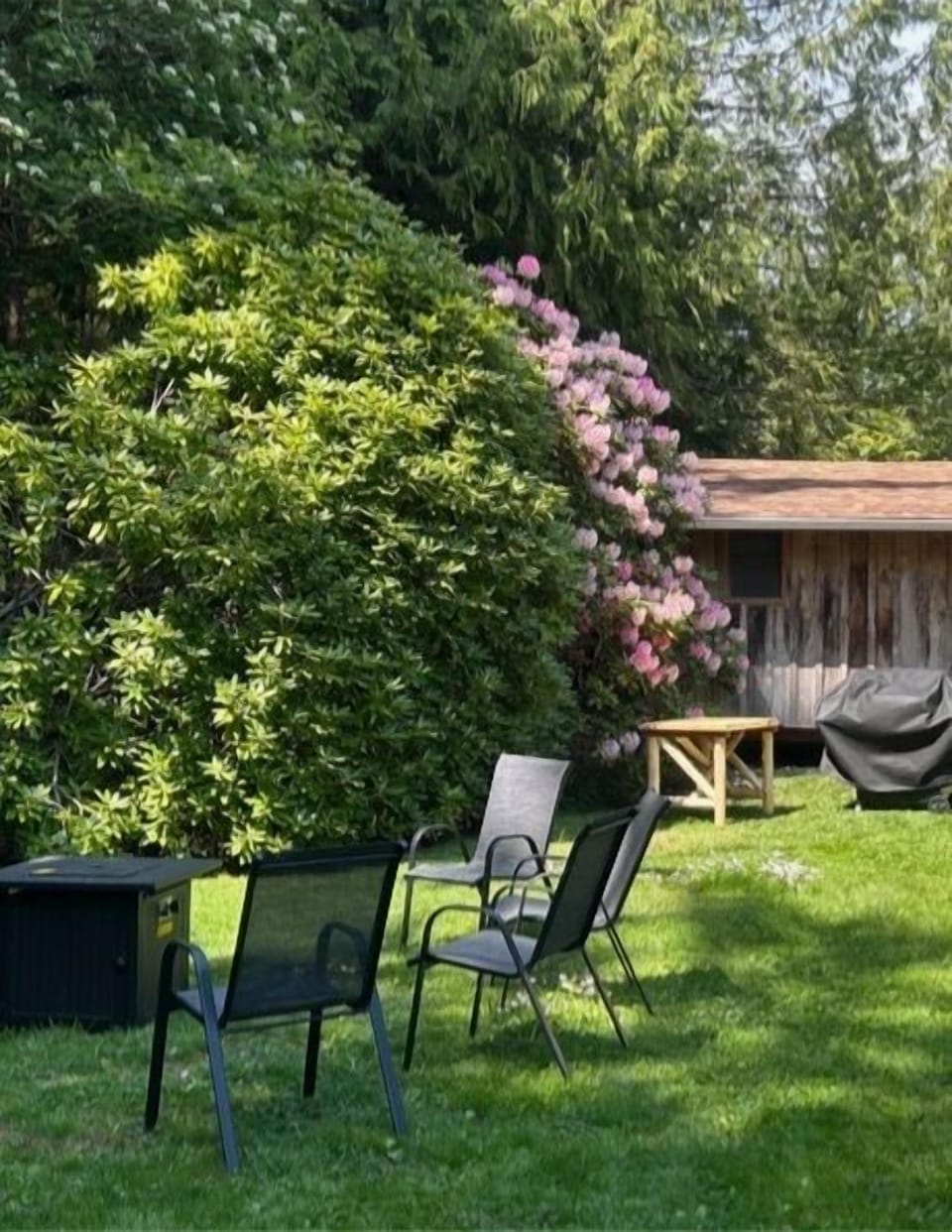Outdoor propane fire