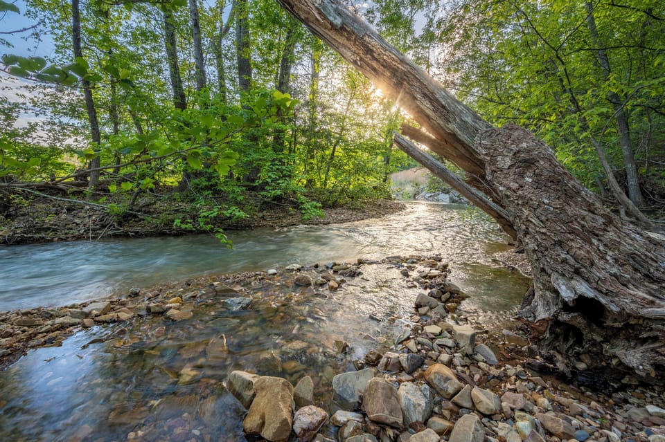 A river runs behind the property—dip your toes or try your luck fishing!