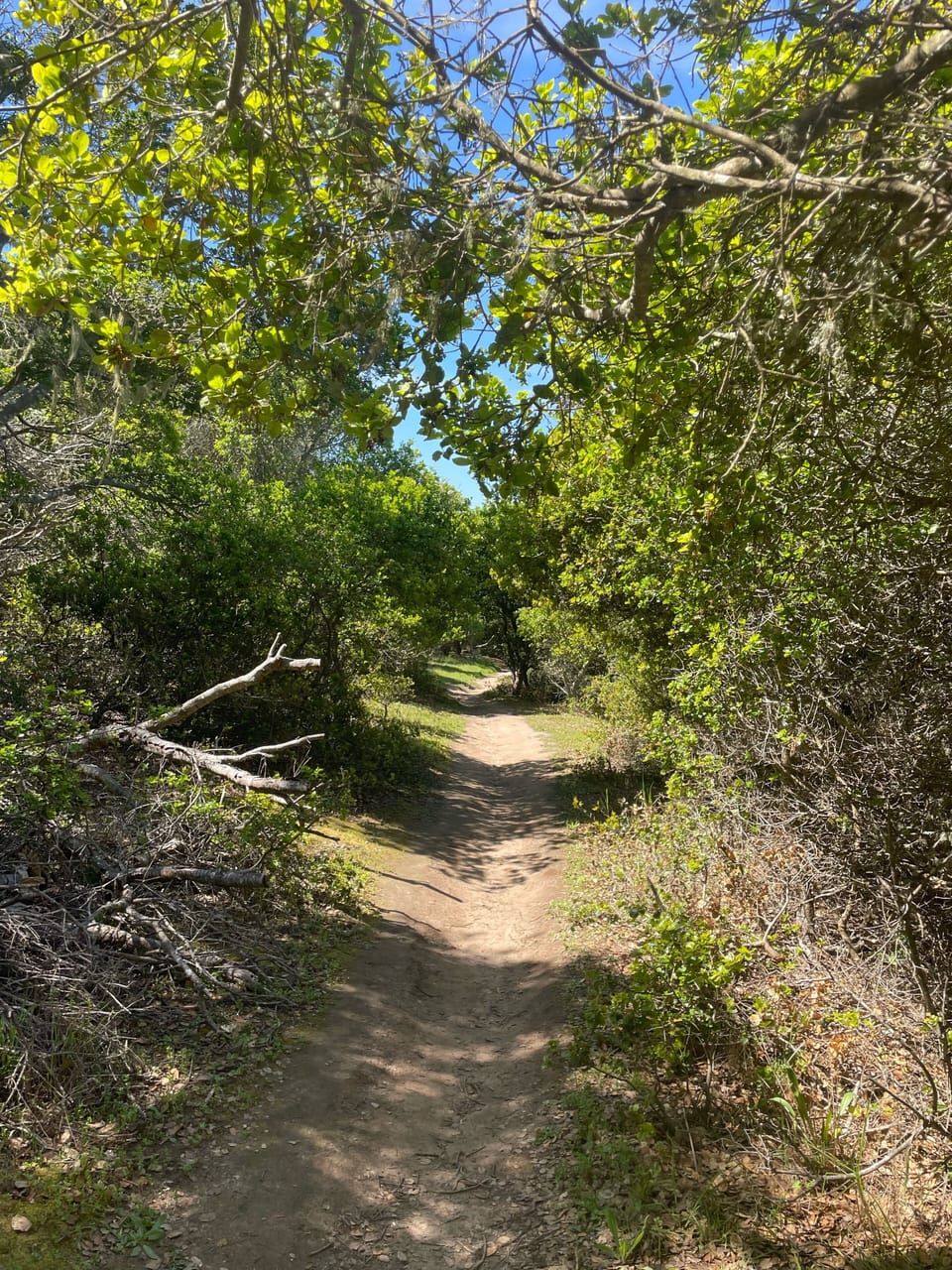 Path to Upper Manresa Camp Sites and Beach.