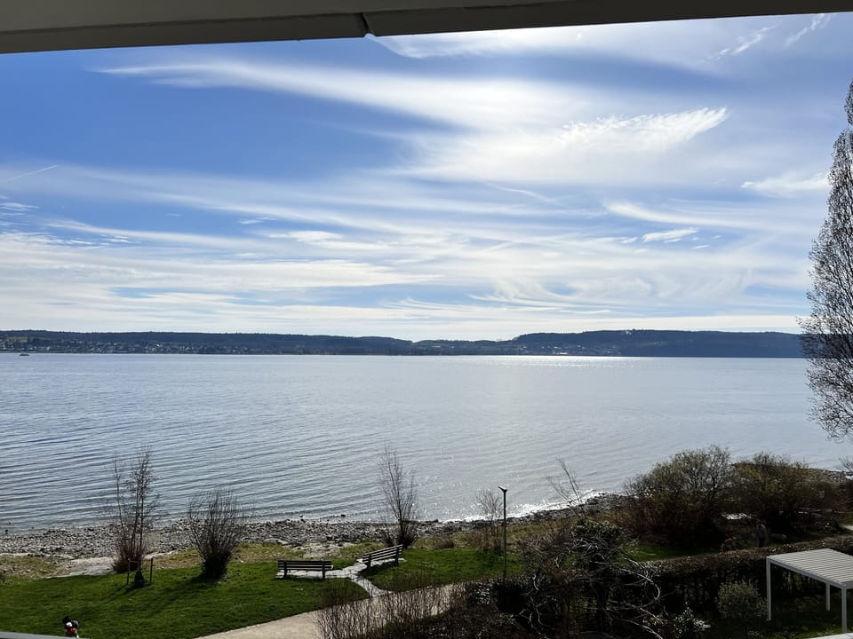 View from property
