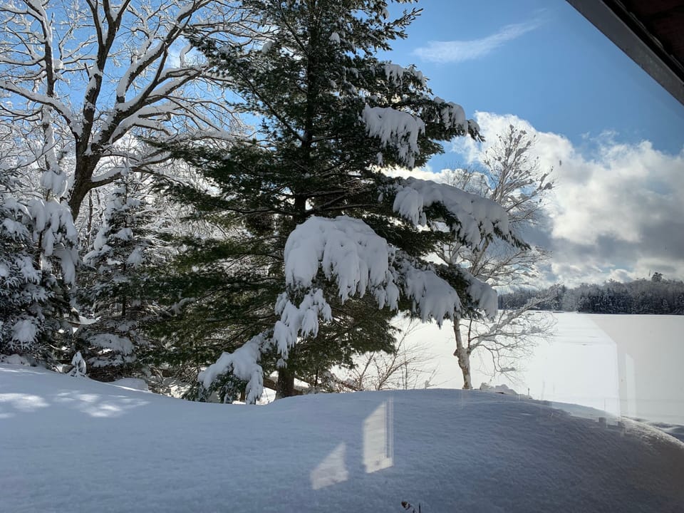 View from property