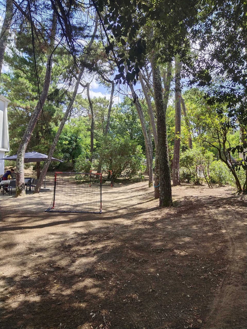 Sport court