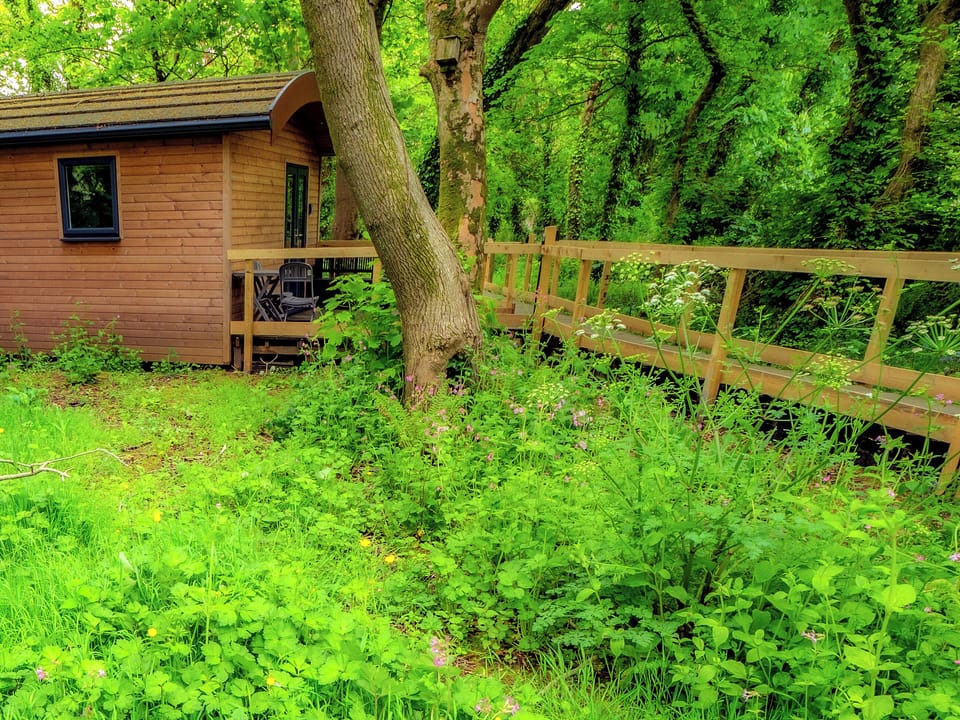 Exterior | Owl - Treglisson Pods, Hayle