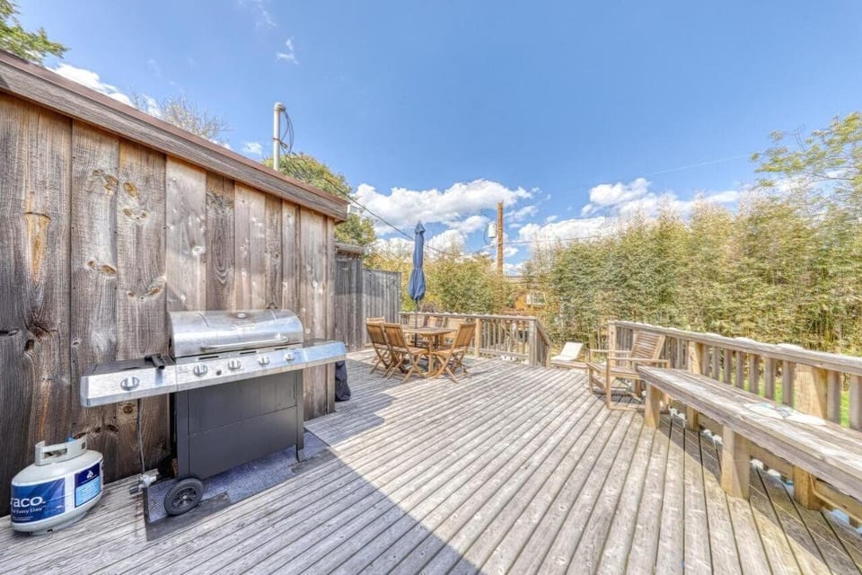 View of (very) private grilling & dining area in back of the house.