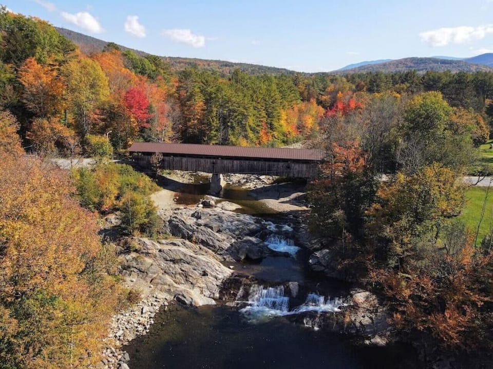 Local Swimming Hole