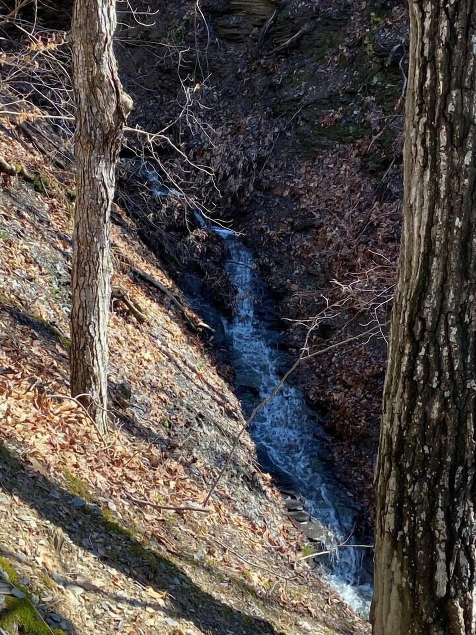 Even when it rains, it is beautiful here!  Ravines on either side of the property allow the many waterfalls to delight you!