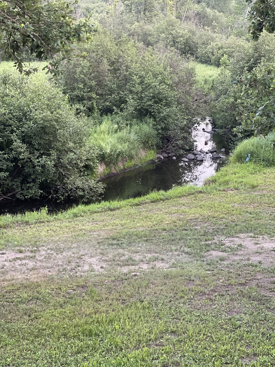 Creek view from cabin