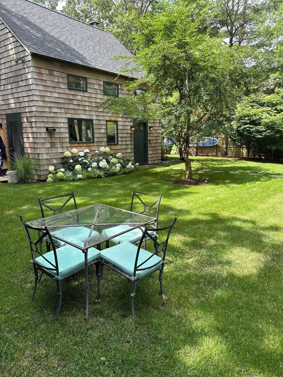 Grassy front yard