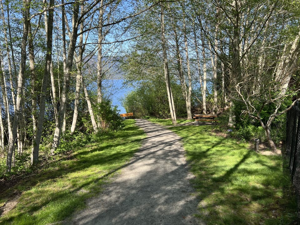 Path to the beach.