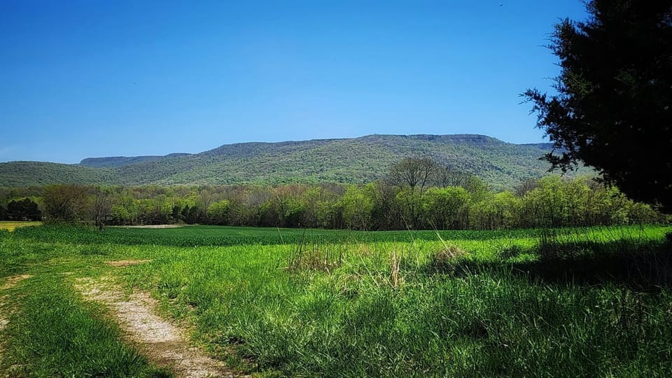 Mountain Point of View Cottage (731)