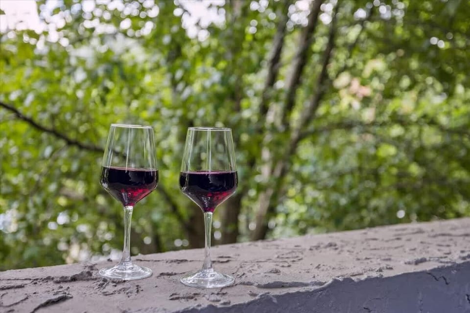 Balcony Bliss: Toast to nature with stunning views and delicious wine in the heart of Gatlinburg!