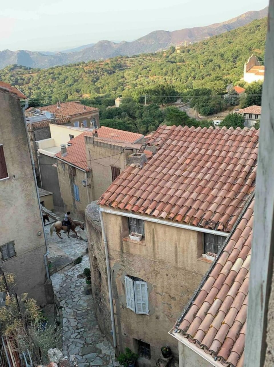 View from property