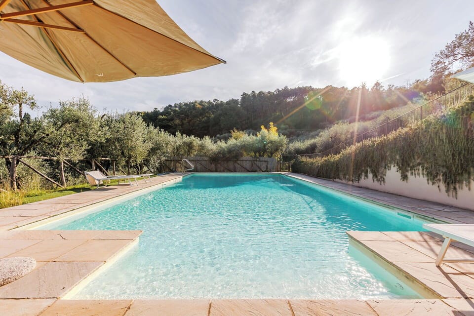 Garden, Outdoor, Pool