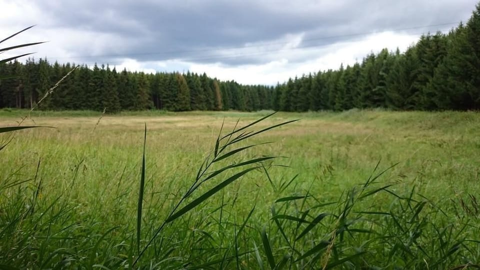 Area that directly surrounds the property
