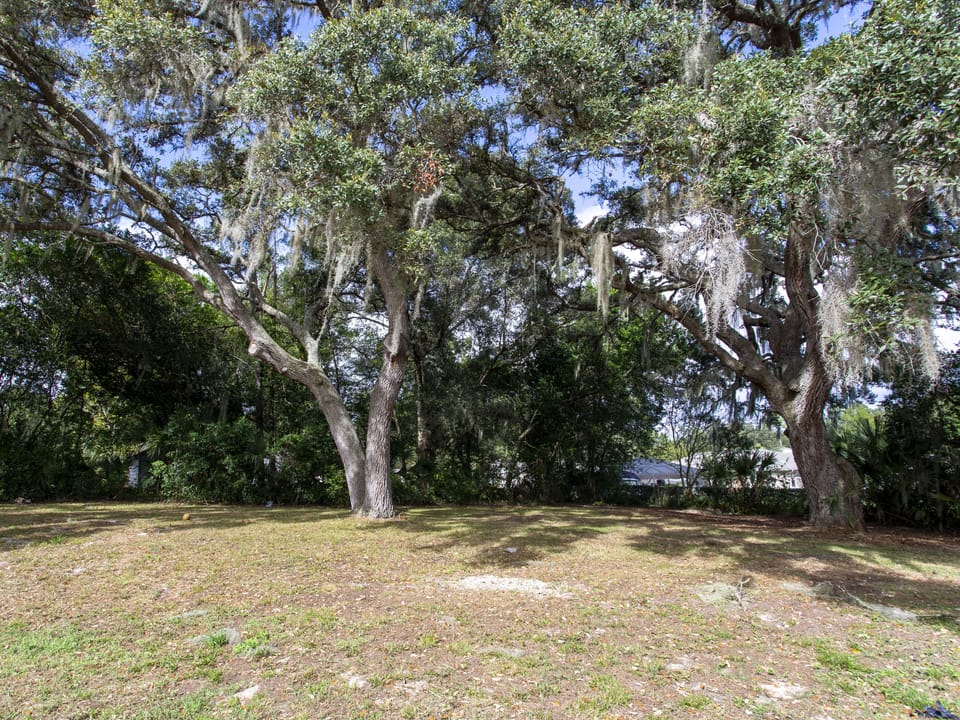 Back yard