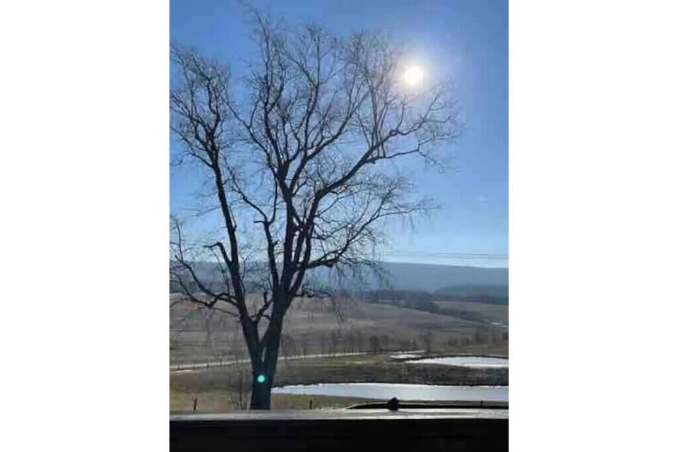 View from property