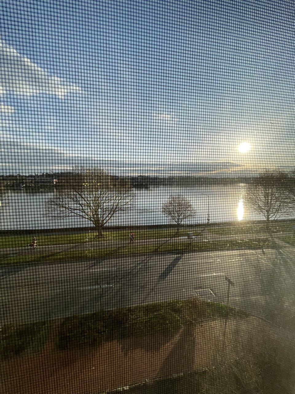 View from property