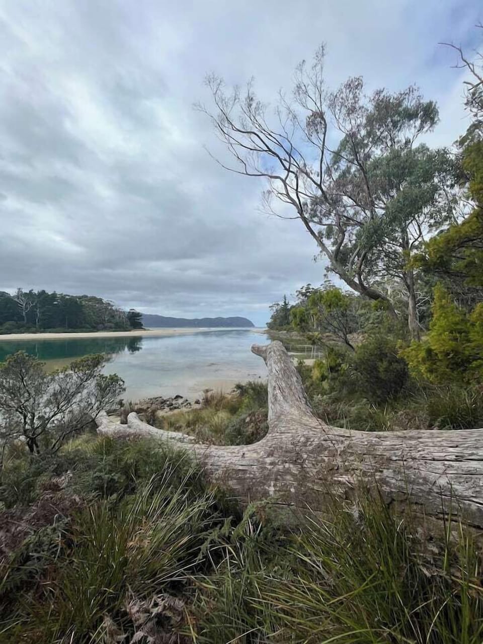 Eeab5d1c 8186 4ecf a32d cda7225412cb