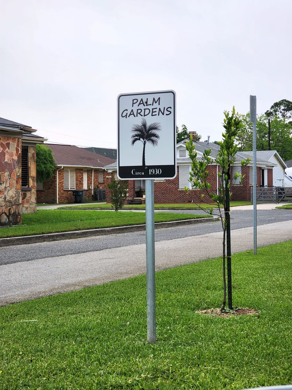 Central Palm Garden Oasis